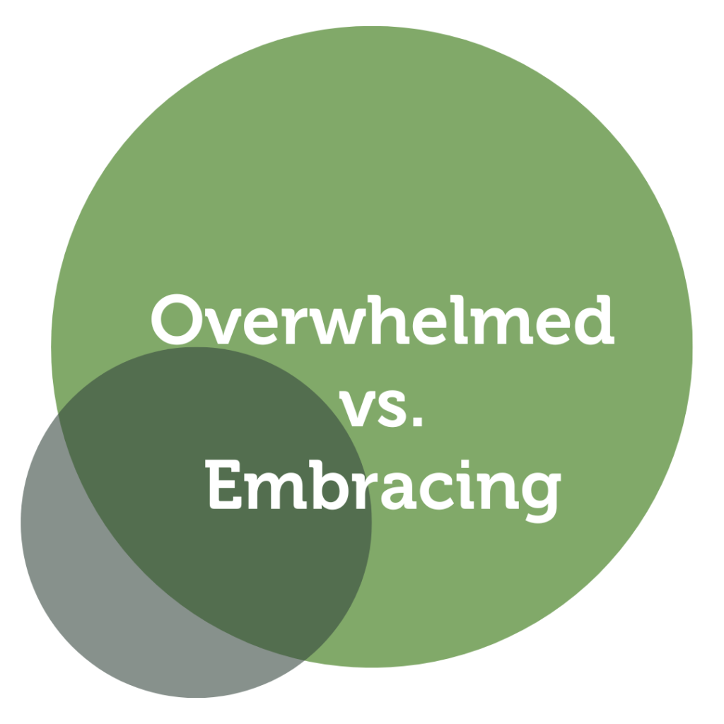 Overwhelmed vs. Embracing Power Tool Feature Fabienne Knobel